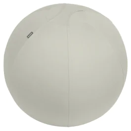 Leitz Balanseball – Ergonomisk, Anti-Roll (LTZ65420085, 1 Eske)