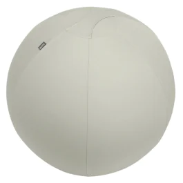 Leitz Balanseball – Ergonomisk, Anti-Roll (LTZ65430085, 1 Eske)