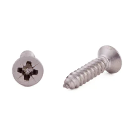 Arvid Nilsson Plateskrue ISO 7050 Rustfritt stål A4 ST4,2 × 38 PZ 2