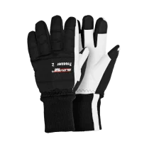 Gloves Pro Freezer 2 vinterhanske