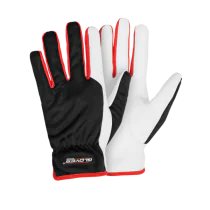 Gloves Pro Dex 2 Arbeidshansker, Hvit/Sort, 12 Par, SGP-5629-060-WHT-6, str. 6